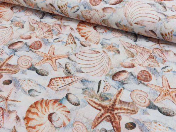 Deko Digital Druck Muscheln Seestern