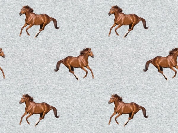 Sweat Shirt Digitaldruck Pferde