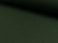 A321H 03 dunkelgrün