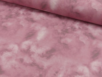 French Terry Digital Druck Little Dragons & Fairyland French Terry Digital Druck Little Dragons & Fairyland