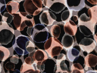 EcoVero Viskose Twill Druck EcoVero Viskose Twill Druck