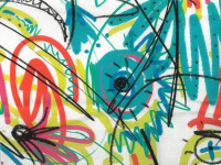 Baumwoll Voile Druck Baumwoll Voile Druck