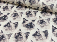 Popeline Digital Druck Katzen Popeline Digital Druck Katzen