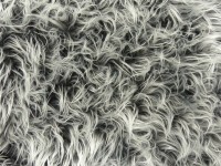 Teddy Langhaar Villa Teddy Langhaar Villa