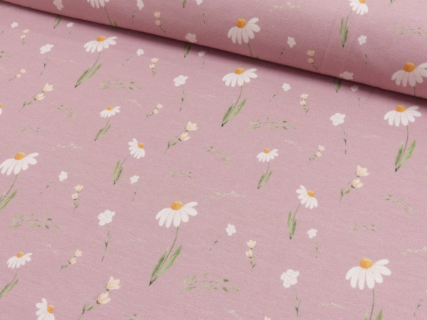 Baumwoll Jersey Digital Druck Ladybug Margeriten