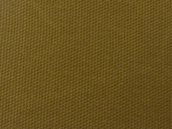 Baumwolle Dry Oilskin (Canvas)