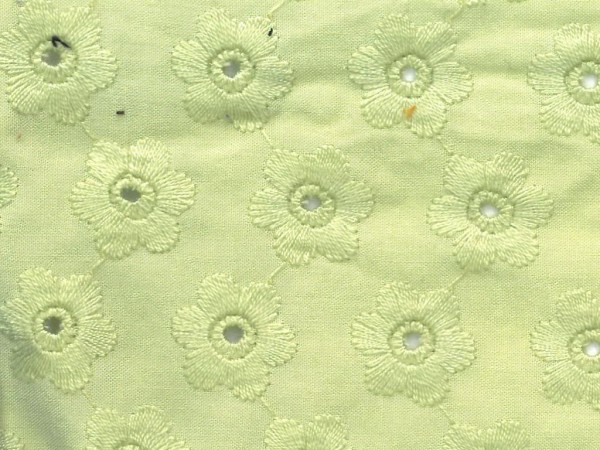 Viscose Stickerei