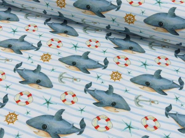 French Terry Druck Baby Shark