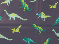 Regenjacken Druck Dinos Regenjacken Druck Dinos