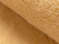 Teddy Locke Teddy Locke