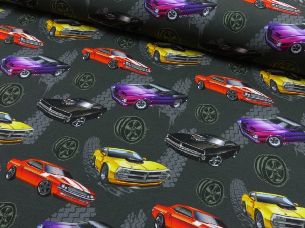 Baumwoll Jersey Digital Druck Fast and Furious