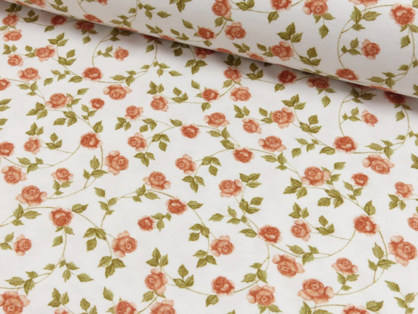 Baumwoll Jersey Digital Druck Rosen
