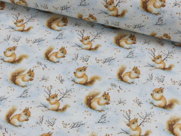 Baumwoll Popeline Druck Eichhörnchen