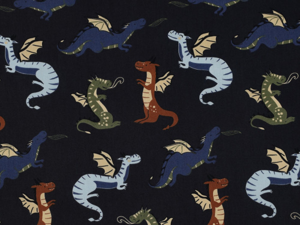 Popelin Druck Drachen