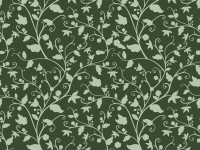 Baumwoll Popeline Druck Baumwoll Popeline Druck