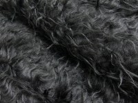 Teddy Langhaar Teddy Langhaar