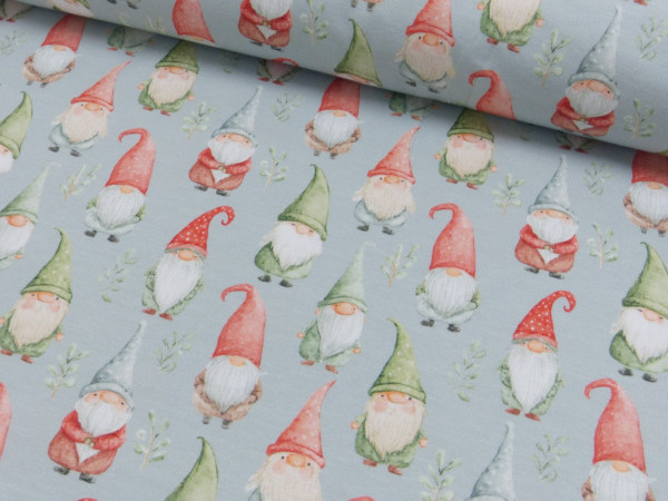 Baumwoll Jersey Digital Druck Wichtel