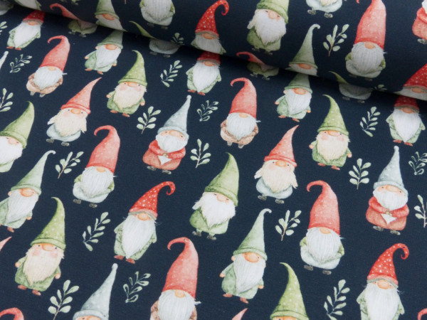 Baumwoll Jersey Digital Druck Wichtel