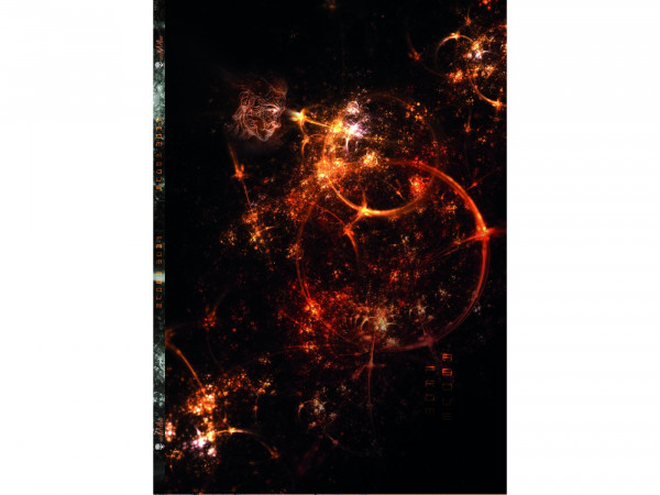 French Terry Digitaldruck From Above - orange (Panel)