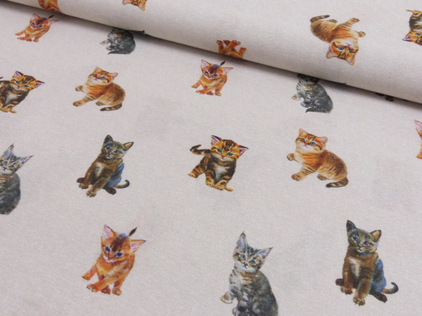 Deko Digital Druck Katzen Cats