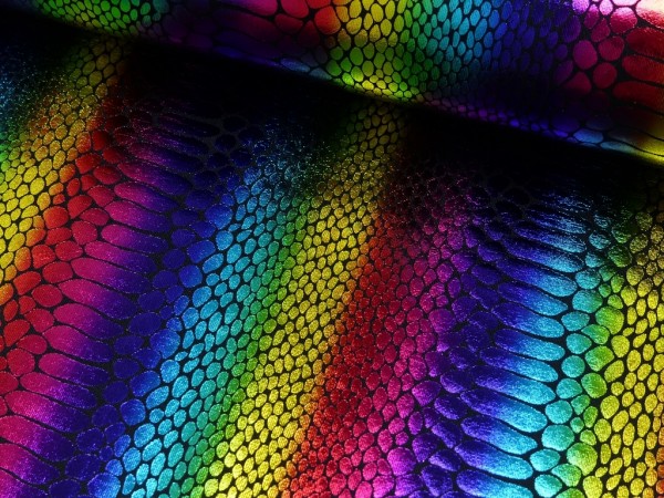 Folienjersey Regenbogen Reptil
