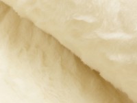 Teddy glatt Teddy glatt