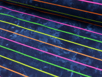 French Terry Druck Neon Streifen French Terry Druck Neon Streifen