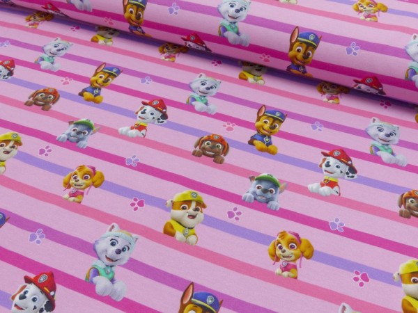Baumwoll Jersey Digital Druck Paw Patrol