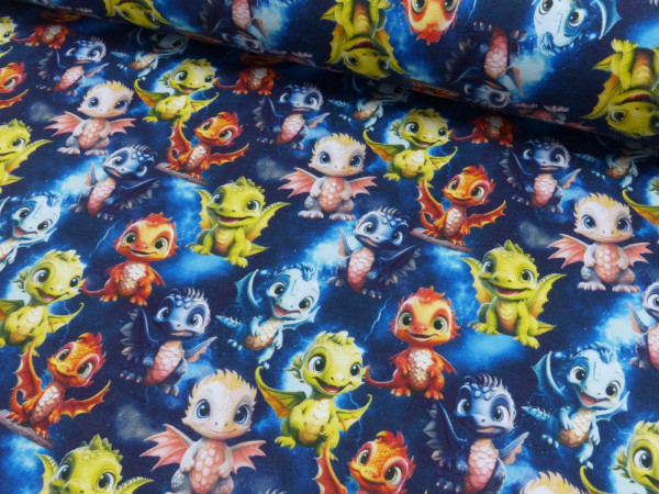 Sweat Shirt Digital Druck Baby Dragon